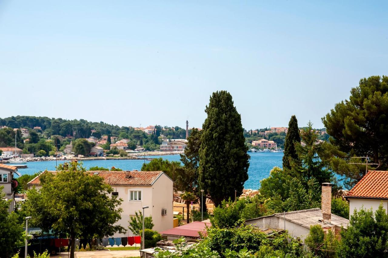 Apartma Near Pelagic Sea View